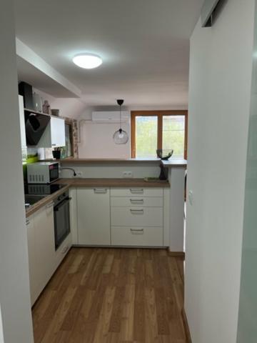Apartma Ela 지고르니예 고르예 외부 사진